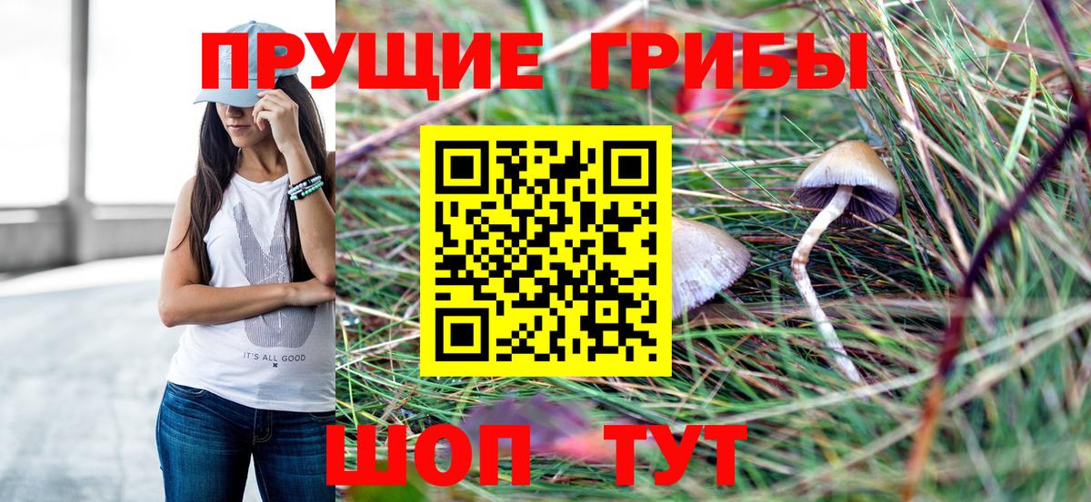 Псилоцибиновые грибы GOLDEN TEACHER  Вход с VPN  Ржев 